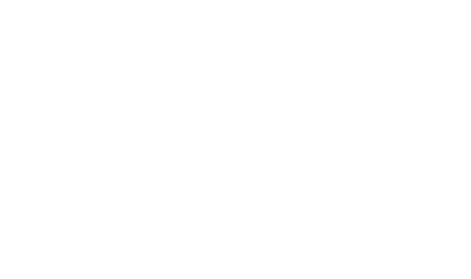 Prendi parte alla FESTA!